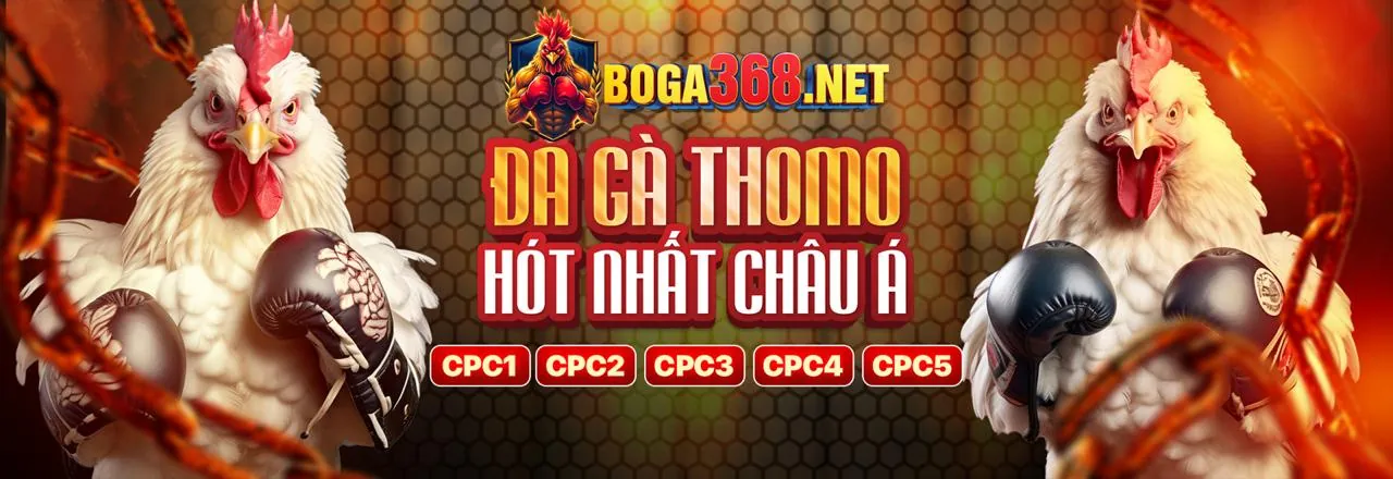 Hình ảnh sang trọng của chương trình VIP sòng bạc casino